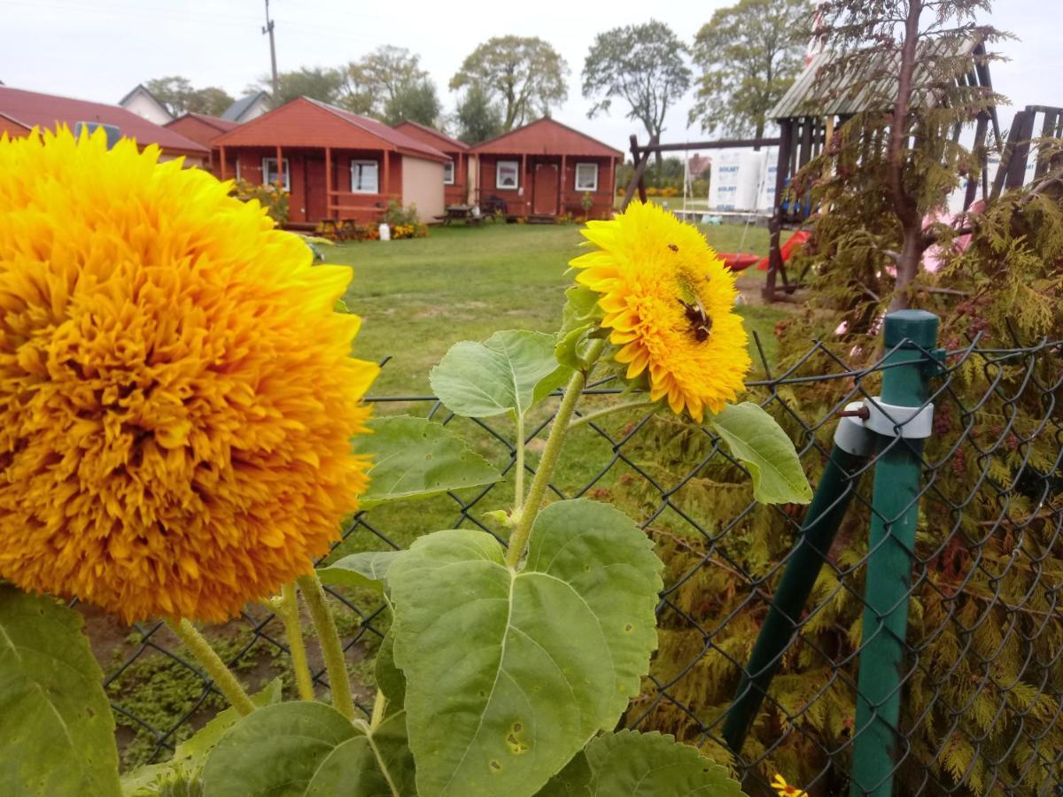 Agroturystyka Domki Eden 萨比诺瓦 外观 照片
